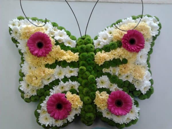 Butterfly tribute 1