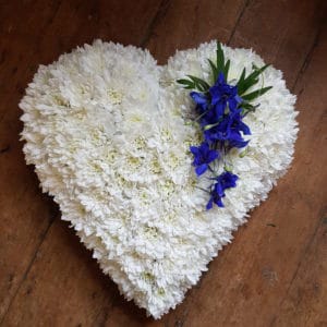 Solid Heart With Blue Spray