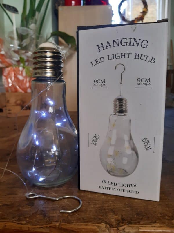 LED Hanging Light Bulb 1