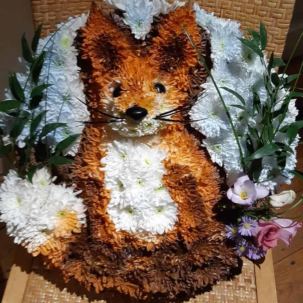 Fox tribute